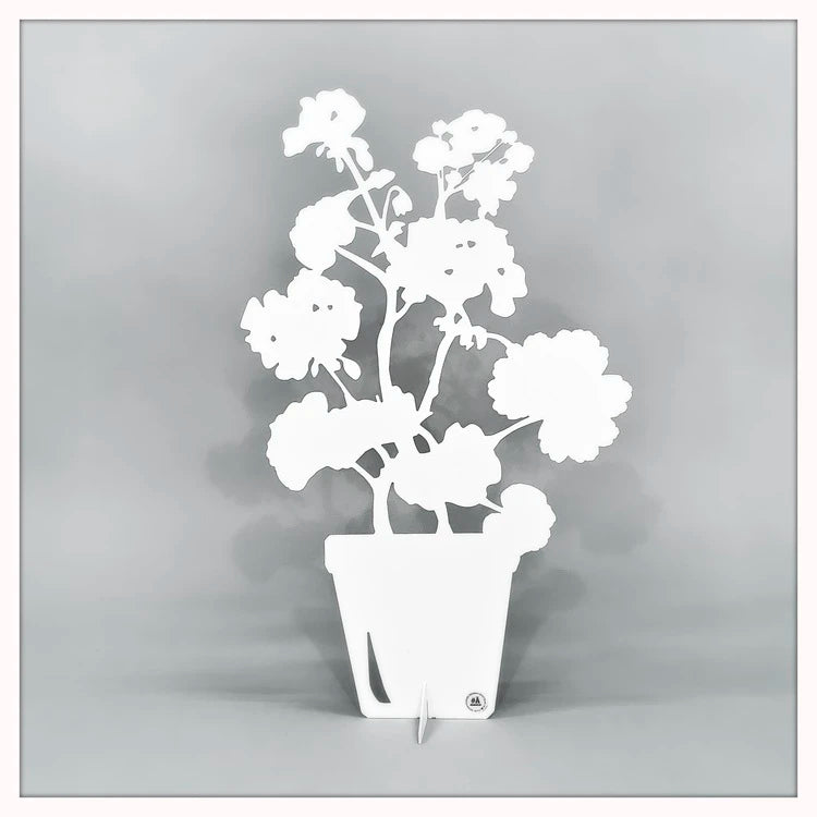 Plåt Pelargoner