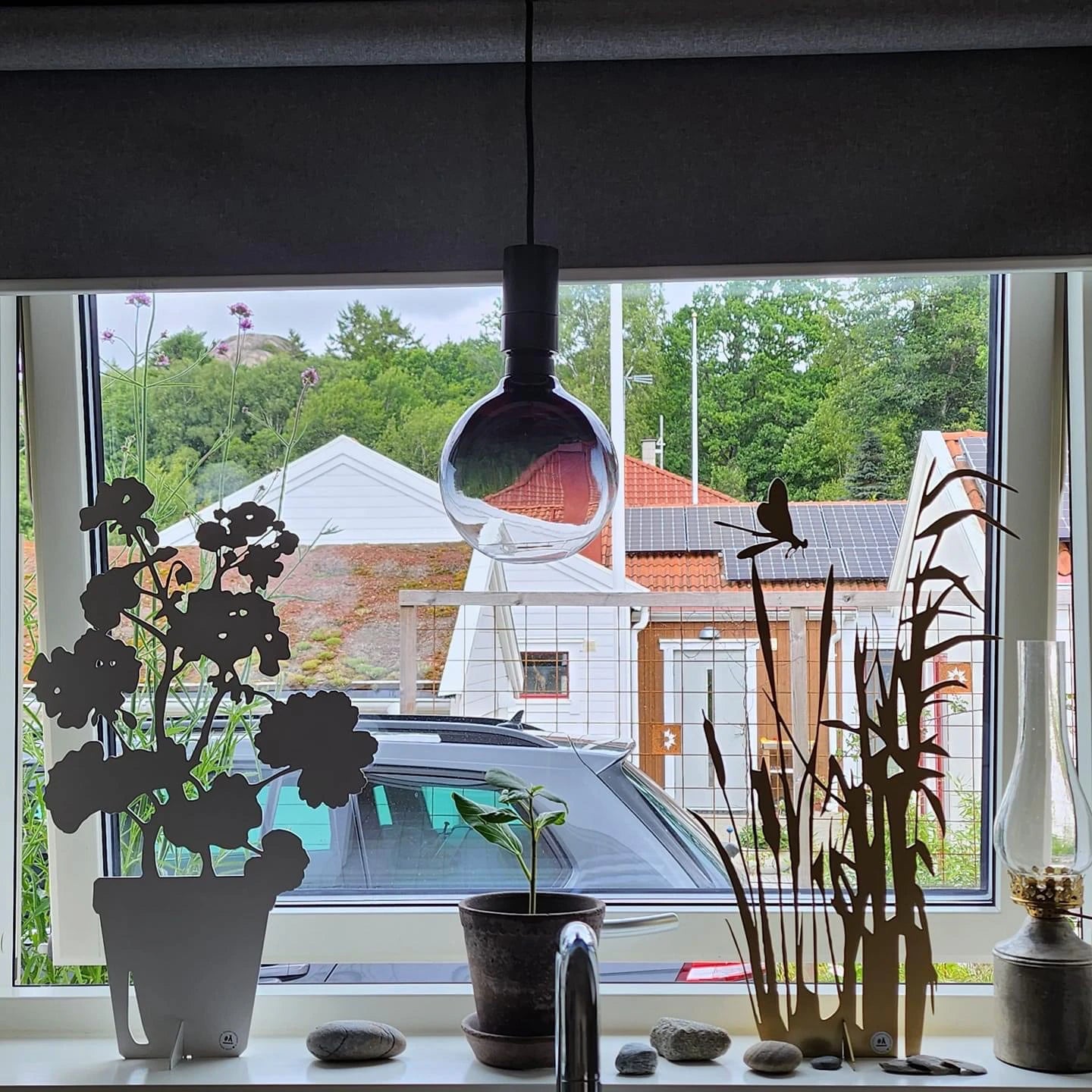Plåt Pelargoner