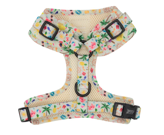 Beach Please hundsele + koppel