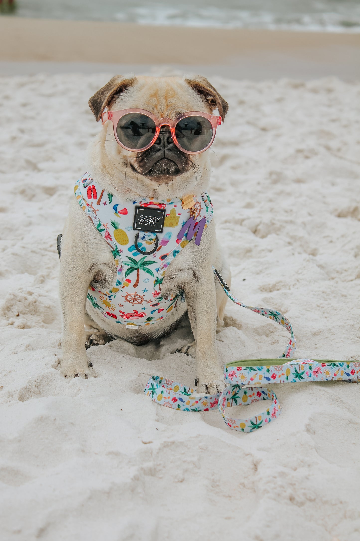 Beach Please hundsele + koppel
