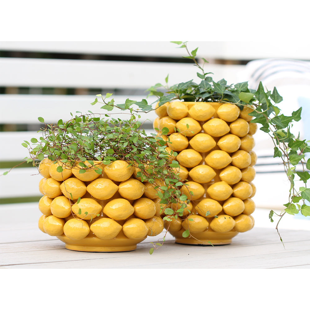 citron kruka