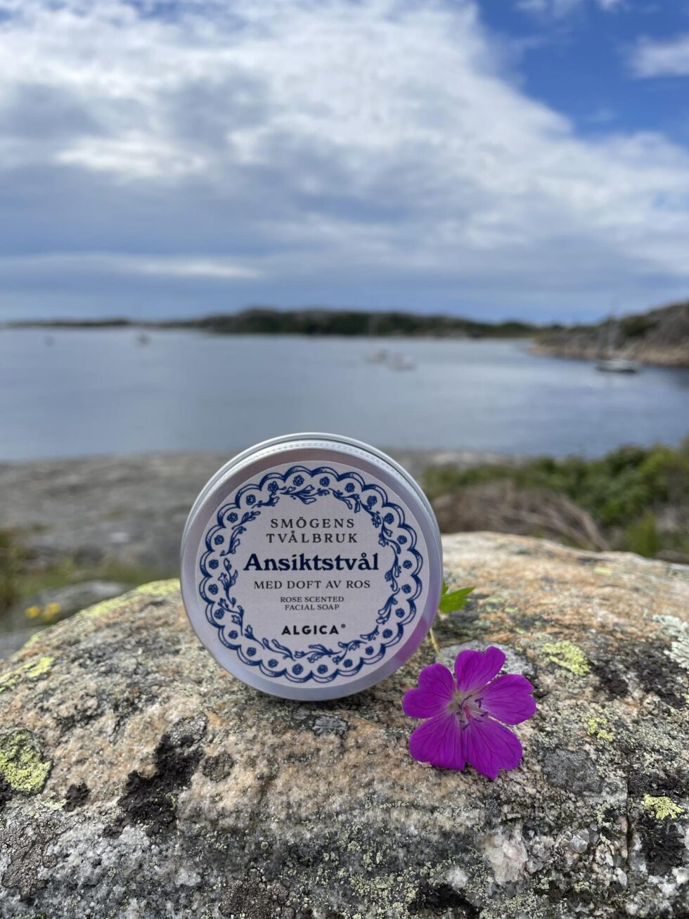 Ansiktstvål från Smögens Tvålbruk med Algica och rosendoft i rund metalldosa placerad på en klippa vid havet.