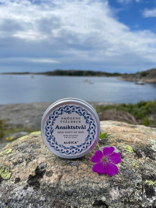 Ansiktstvål från Smögens Tvålbruk med Algica och rosendoft i rund metalldosa placerad på en klippa vid havet.